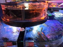 -云境生态园(红谷滩店)