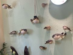 -天正河鲀·河豚亭(大连店)