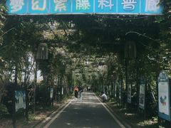 -武汉紫薇都市田园