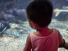 -太平洋海底世界