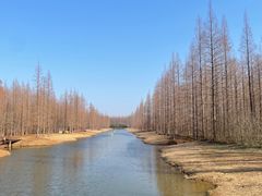 -黄海国家森林公园