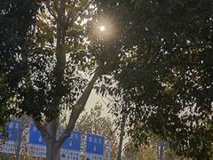 -金银湖国家城市湿地公园
