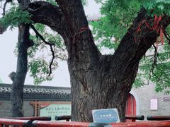 -洛阳周公庙博物馆