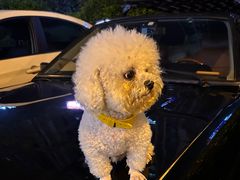 -美足时光•精致悦足•水疗SPA(龙泉店)