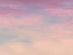 -王興記(南禅寺店)