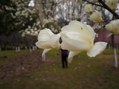 -白塘生态植物园