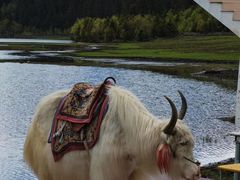 -香格里拉唐卡画院