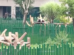 -沈阳森林动物园