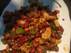 -陈麻婆豆腐总店