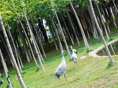 -艾溪湖湿地公园