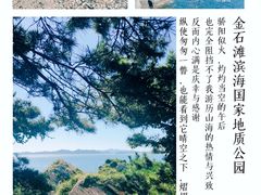 -大连金石滩滨海国家地质公园
