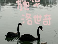-武汉动物园