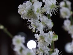 -北京明城墙遗址公园