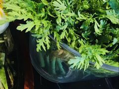 -东颖龙肥牛王(绵阳店)