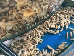 -蓝珊甄选海鲜自助·火锅大排档(近阿那亚店)