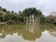 -中国科学院西双版纳热带植物园
