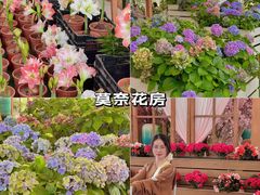 -盈香心动乐园