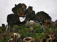 -奥兰多迪士尼动物王国乐园