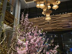 -浅深Cheersum(曹杨店)