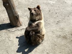 -哈尔滨北方森林动物园