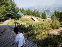 -苏木山森林公园