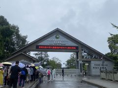 -中国大熊猫保护研究中心雅安碧峰峡基地