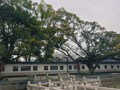 -江心屿景区