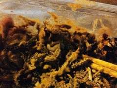 水爆肚-正宗天津烧麦馆(柳州路店)
