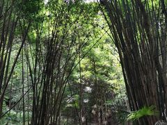 -凤栖山