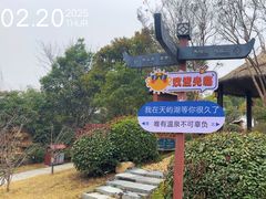 -天屿湖