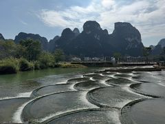 -明仕田园