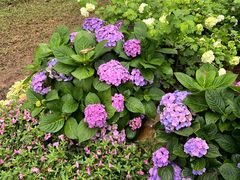 -人民公园(罗湖区)