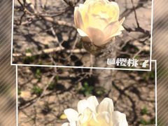 -国家植物园