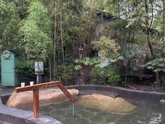 -西安国际创新人才交流中心•药浴温泉