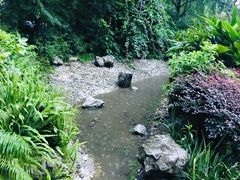 -成都市活水公园