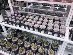 -KKV(重庆东原悦荟主力店)