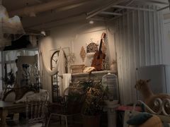 -共舞时光猫咖·狗咖(新街口店)