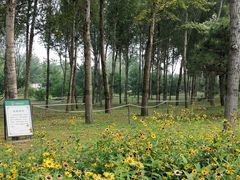 -东郊湿地公园