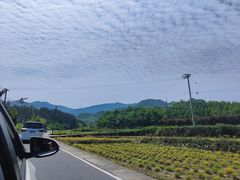 -将军关探险漂流