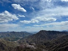 -大岭沟猕猴桃谷风景区