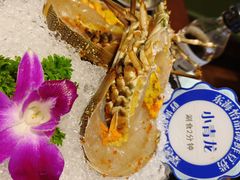 -东海怡品海鲜豆捞(舟宿夜江店)