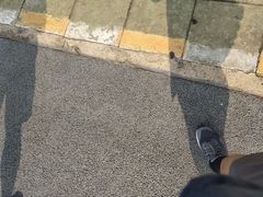 -万绿园