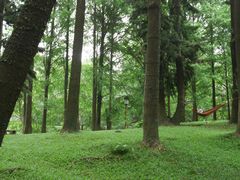 -华南国家植物园-售票处