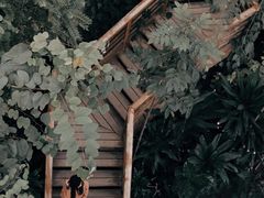 -郑州植物园