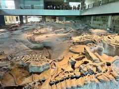 -自贡恐龙博物馆