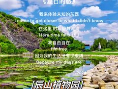-上海辰山植物园