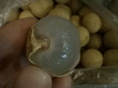 -百果园PAGODA(冠生园路店)