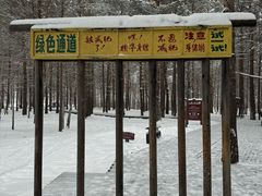 -北极村旅游风景区