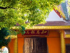 -报恩禅寺