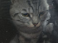 -谐和贝康宠物医院24小时·宠保定点(急重症转诊中心)